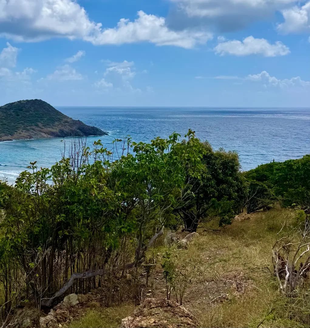 Très beau terrain constructible Lot 1 – Toiny – Vue mer - Photo 1